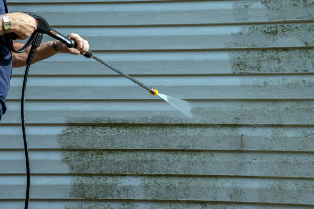 Best Roof Washing  in Charlotte, MI
